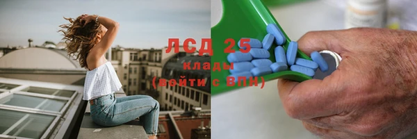 гидра Алексеевка