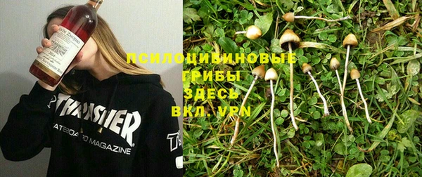 гидра Алексеевка