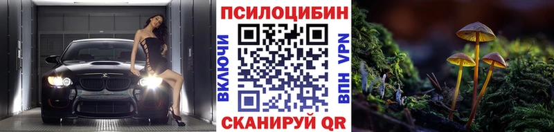 Псилоцибиновые грибы Magic Shrooms  Циолковский 